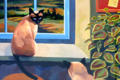 005_Gatos_ventana