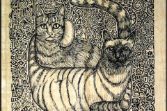 014_gatos_rotring