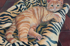 021_gato_rubio