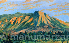 016_guanche_dormido