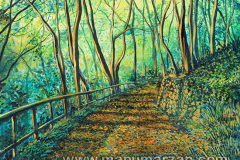 020_Bosque_al_atardecer
