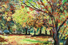 021_bosque_otono
