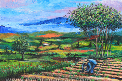 024_el_huerto_3