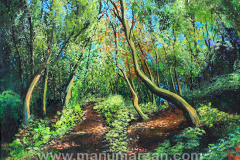 030_bosque_laurisilva