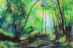 031_Bosque_en_sombras
