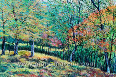 045_Bosque_de_junio_II