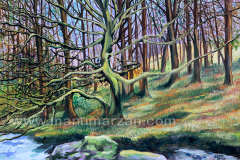 058_arbol_y_liquen