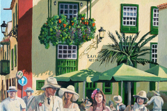 002_indianos_placeta_1