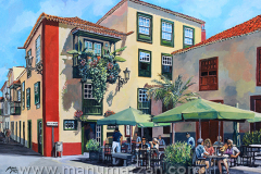 045_placeta_02