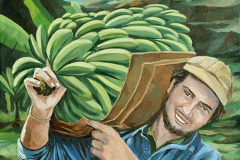 080_platanera_10